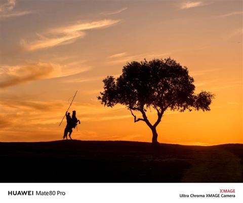 何刚晒华为Mate80系列实拍样张：红枫影像色彩表现一绝(图5)