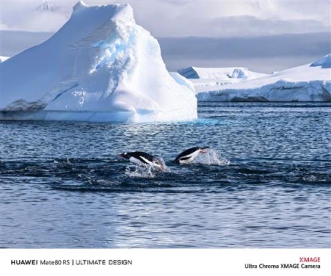 何刚晒华为Mate80系列实拍样张：红枫影像色彩表现一绝(图6)