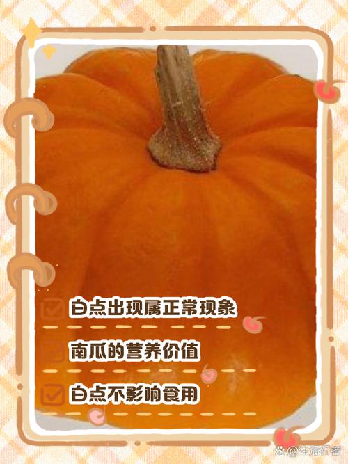 南瓜蒸熟后有白点是怎么回事？南瓜蒸熟了上面有白点是啥情况可以吃吗