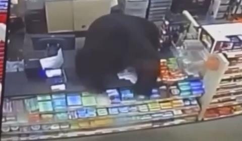 美国黑熊追杀男孩 冲进商店直接跳上收银台(图2)
