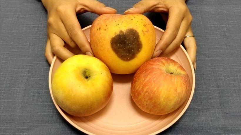 苹果的心烂了还可以吃吗？苹果的心烂了,周围的果肉还能吃吗