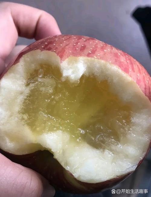 苹果的心烂了还可以吃吗?苹果的心烂了,周围的果肉还能吃吗