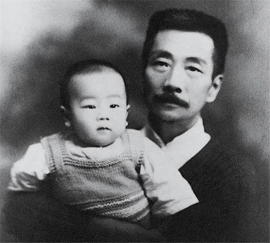 昆虫记鲁迅被誉为？昆虫记鲁迅誉为什么