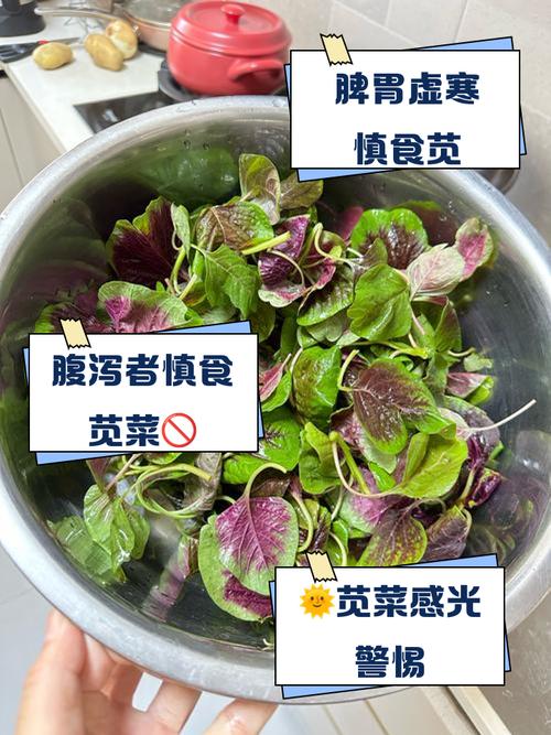 隔夜苋菜放冰箱能吃吗能放多久?苋菜过夜吃了会中毒嘛