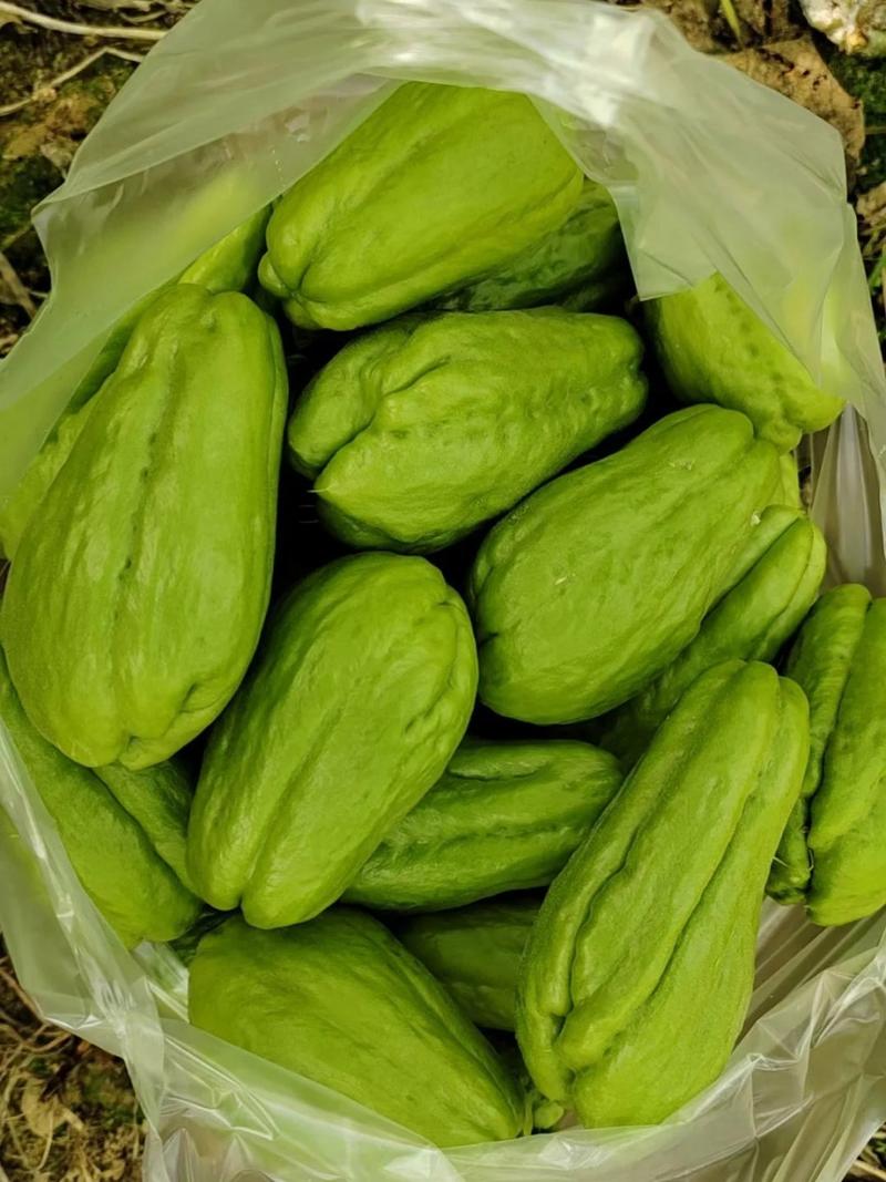 佛手瓜存放时间长？佛手瓜的存放时间