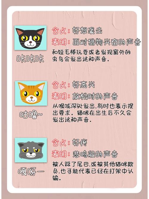 喵能组什么四字词语?喵能组什么四字词语呢