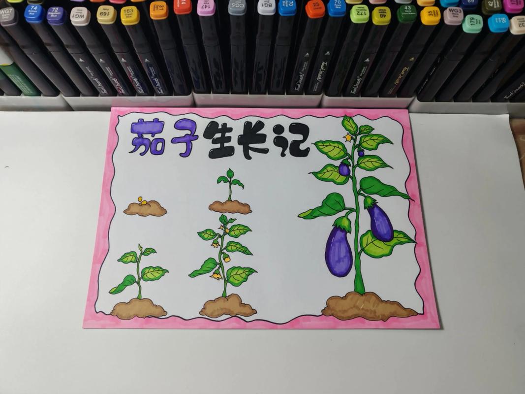 茄子的生长过程记录？茄子的生长过程记录表