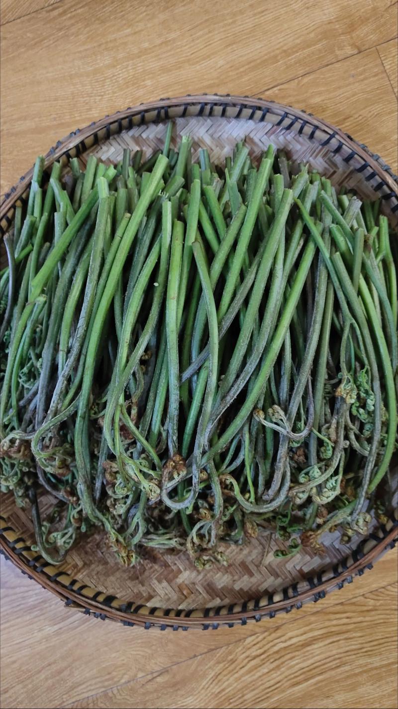 蕨菜怎么腌吃好吃？蕨菜怎么做腌菜