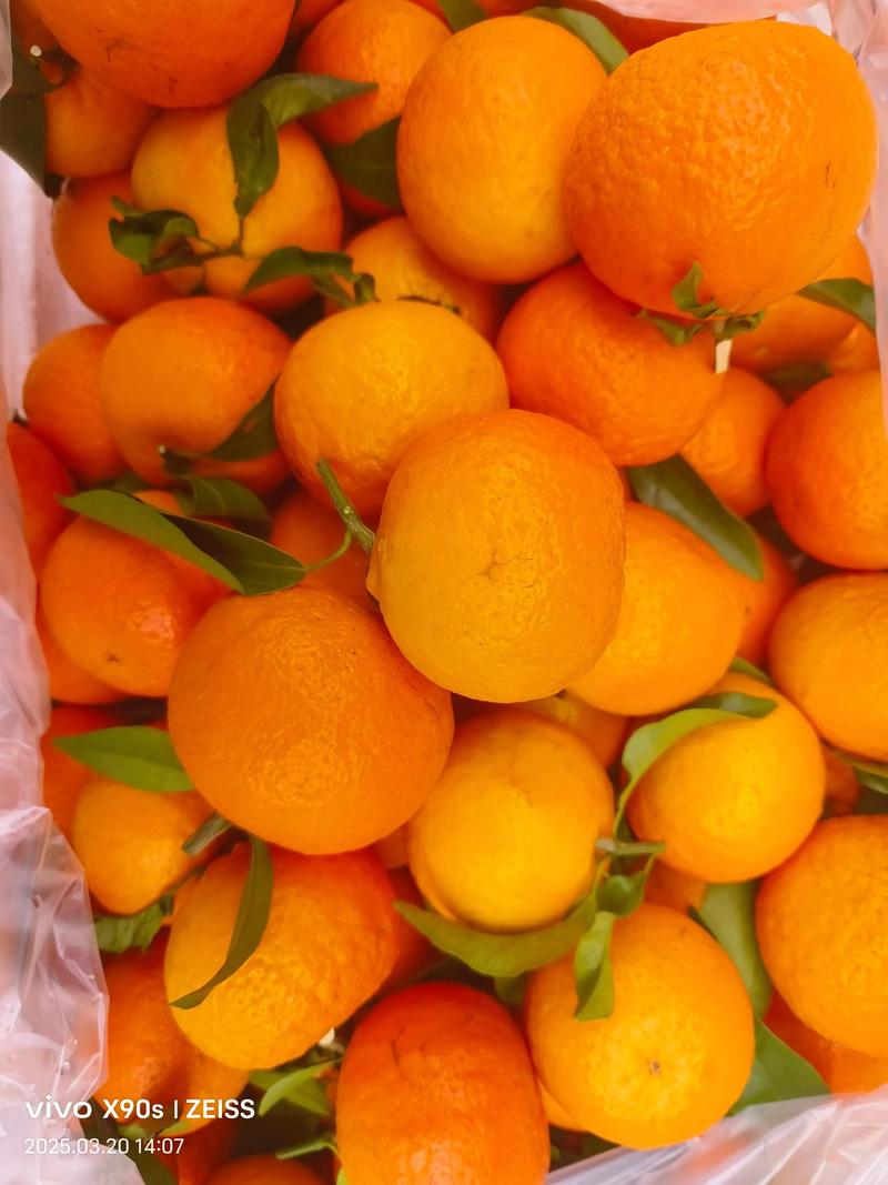 昆明有什么好吃的水果推荐一下？昆明都有什么水果