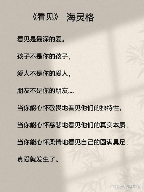 看见这本书是谁写的？看见属于哪一类书籍