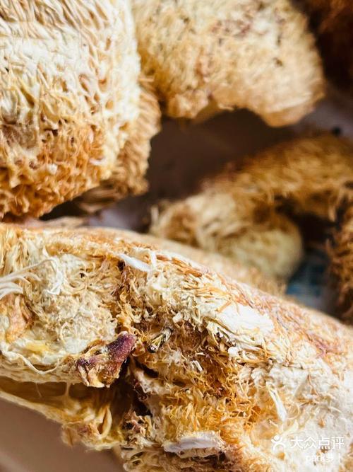 猴头菇能放冰箱吗？猴头菇放冰箱冷藏能放多长时间