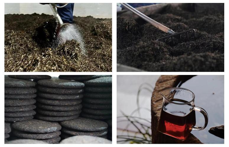 普洱茶后发酵是熟茶还是生茶？普洱茶后发酵什么意思