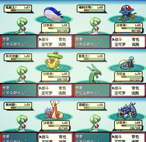 绿宝石海皇牙性格配招?口袋妖怪绿宝石海皇牙性格