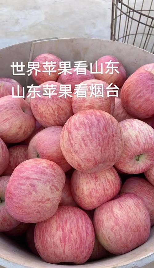 苹果好吃吗是什么意思?苹果好吃吗是什么意思网络用语