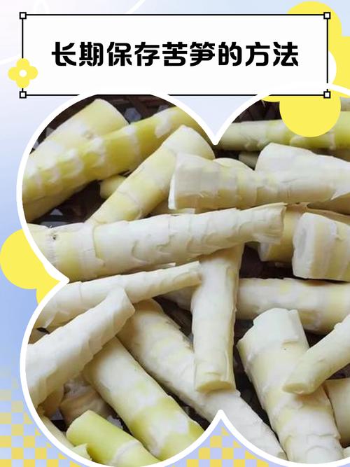苦笋去苦味儿妙招?竹笋不苦最简单方法
