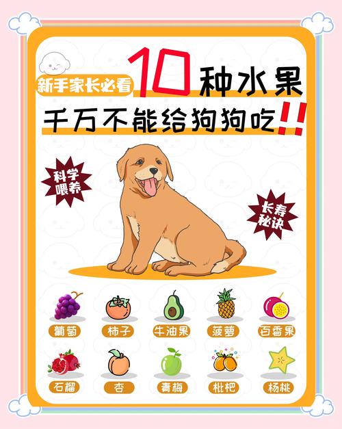 拉布拉多犬能吃啥？拉布拉多犬能吃啥水果