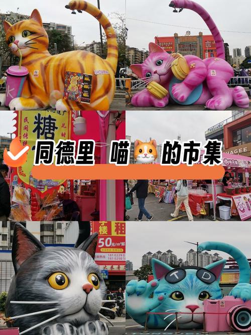 齐齐哈尔哪里有卖猫的市场？齐齐哈尔卖猫的最大市场