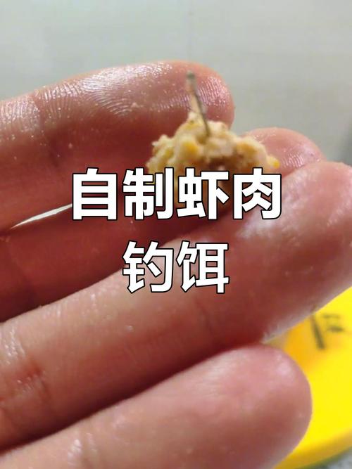 请问用什么肉最好钓鱼呢？什么肉做鱼饵最好