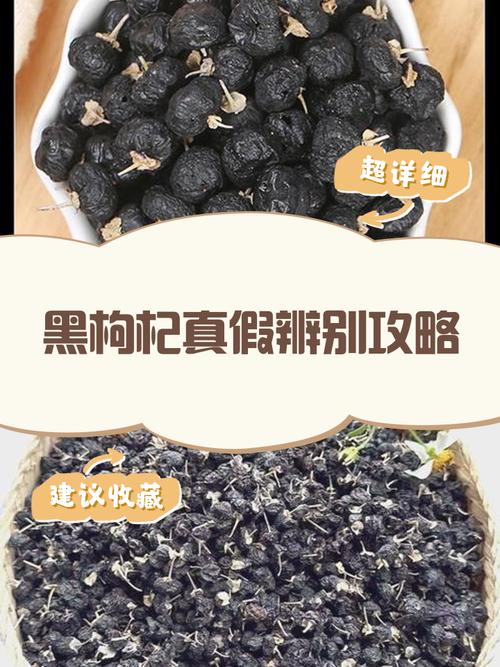 黑枸杞和红枸杞的区别?黑枸杞和红枸杞的区别哪个补肾好