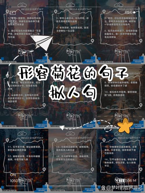 菊花的拟人句怎么写三年级？菊花的拟人句怎么写三年级上册