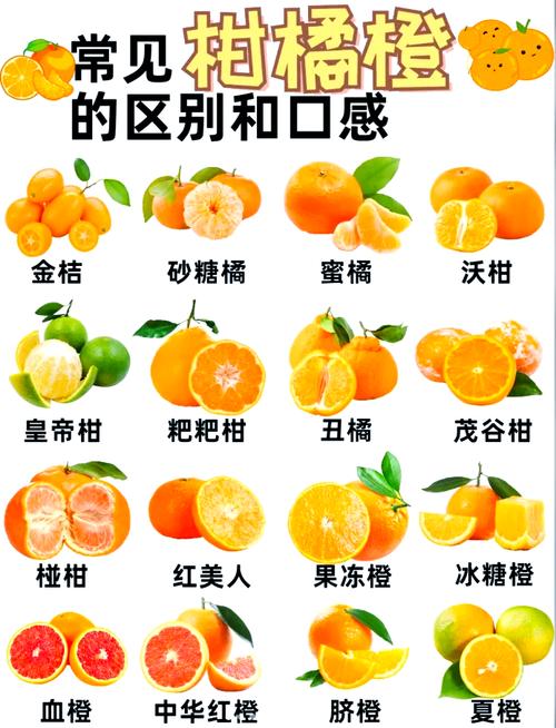 橙子怎么保存时间长一点？橙子如何保存时间长