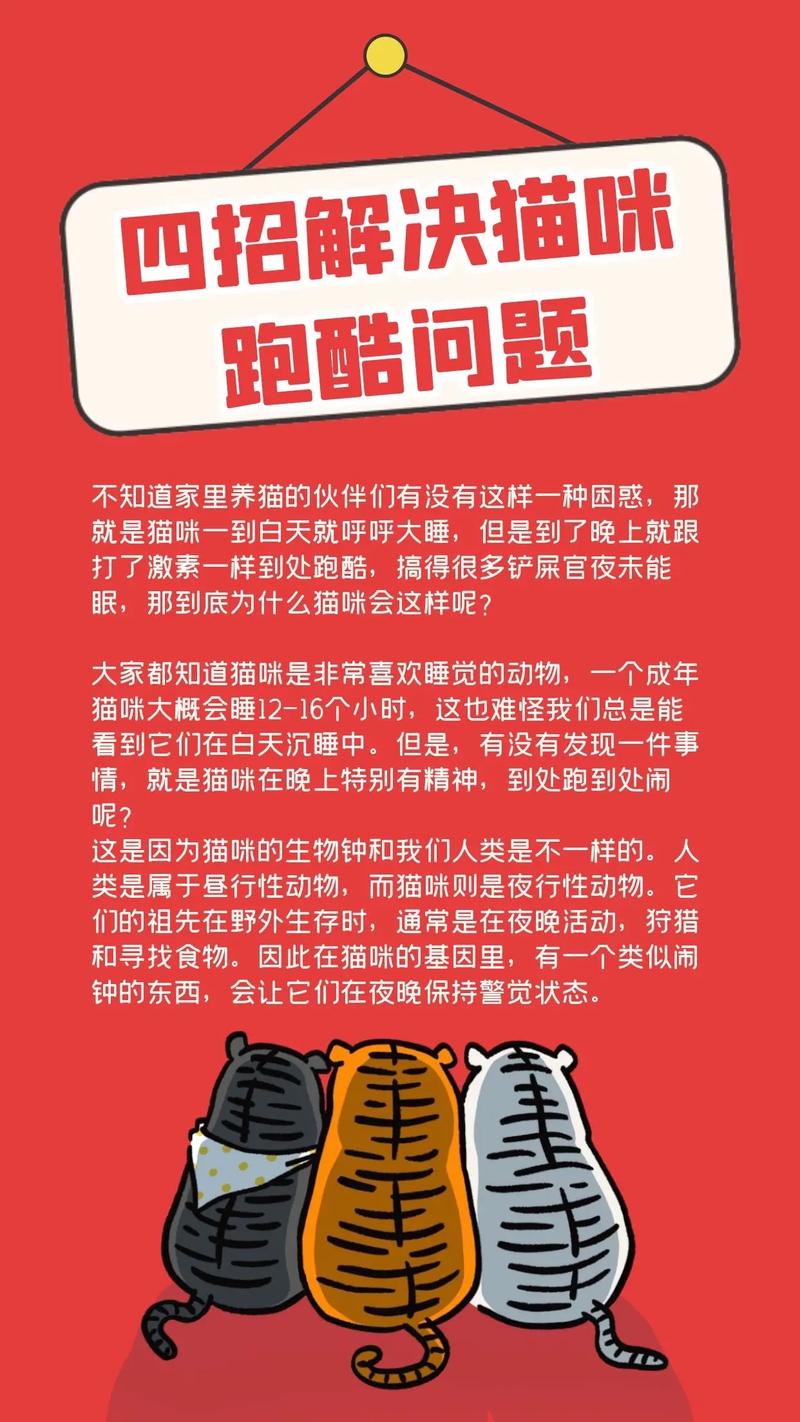 猫半夜跑酷是什么意思？猫半夜跑酷怎么办