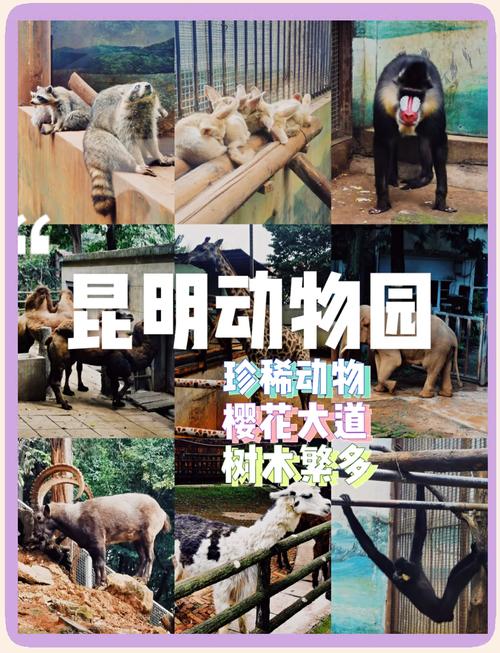 昆明有几个动物园门口？昆明有几个动物园点名多少钱门票