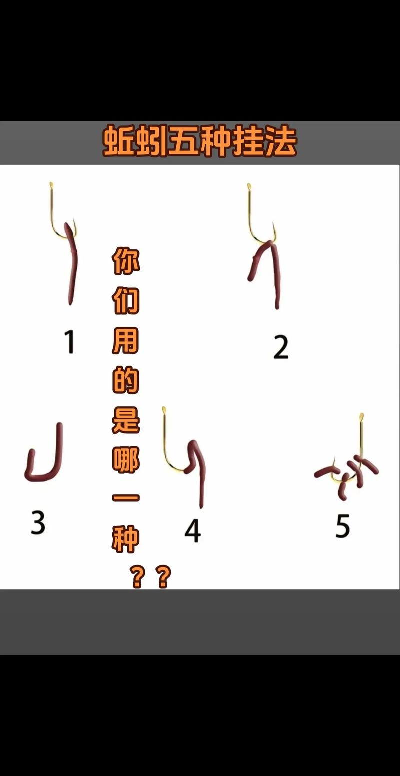 蚯蚓的运动方式是靠什么完成的？蚯蚓的运动是靠什么辅助完成的