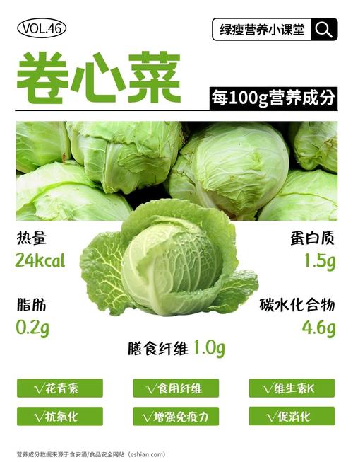 卷心菜几月份种几月份收？卷心菜的季节是什么时候?