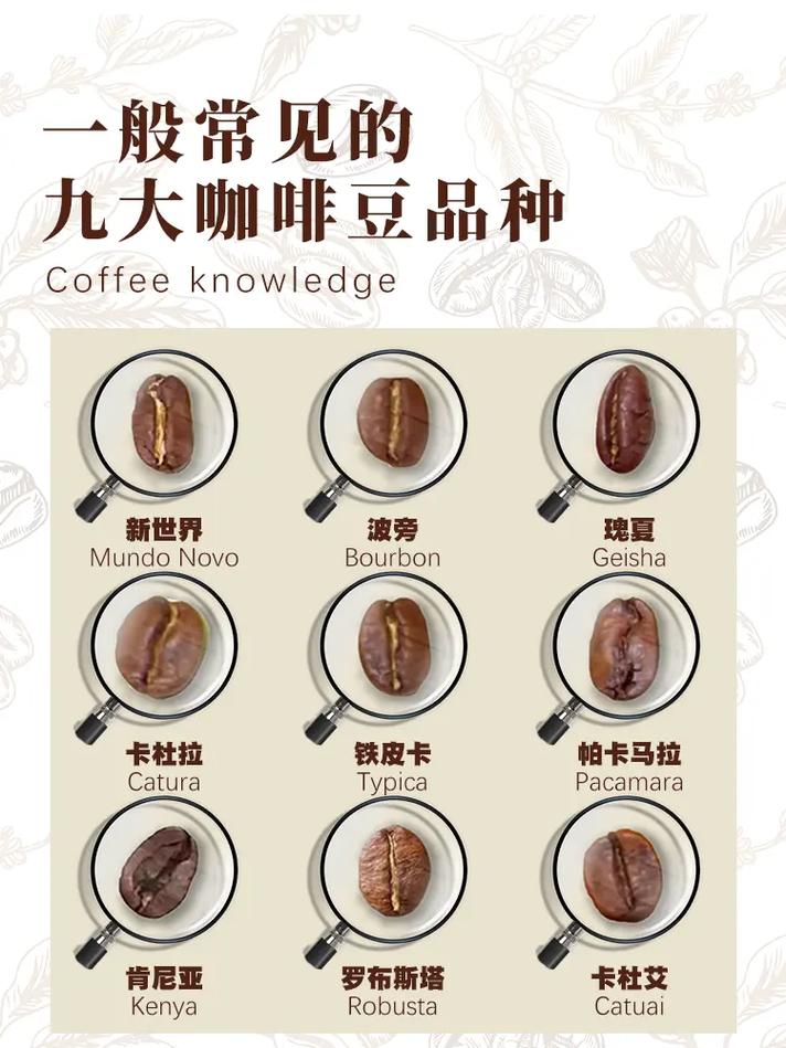 什么咖啡豆的酸涩味偏重?哪种咖啡豆不酸涩