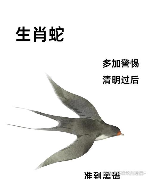 清明象征着什么动物和生肖？清明象征着什么?