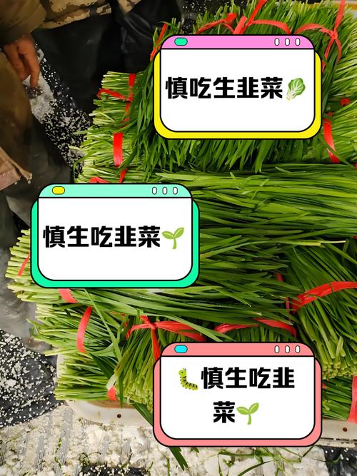 韭菜中毒的早期症状？韭菜中毒事件