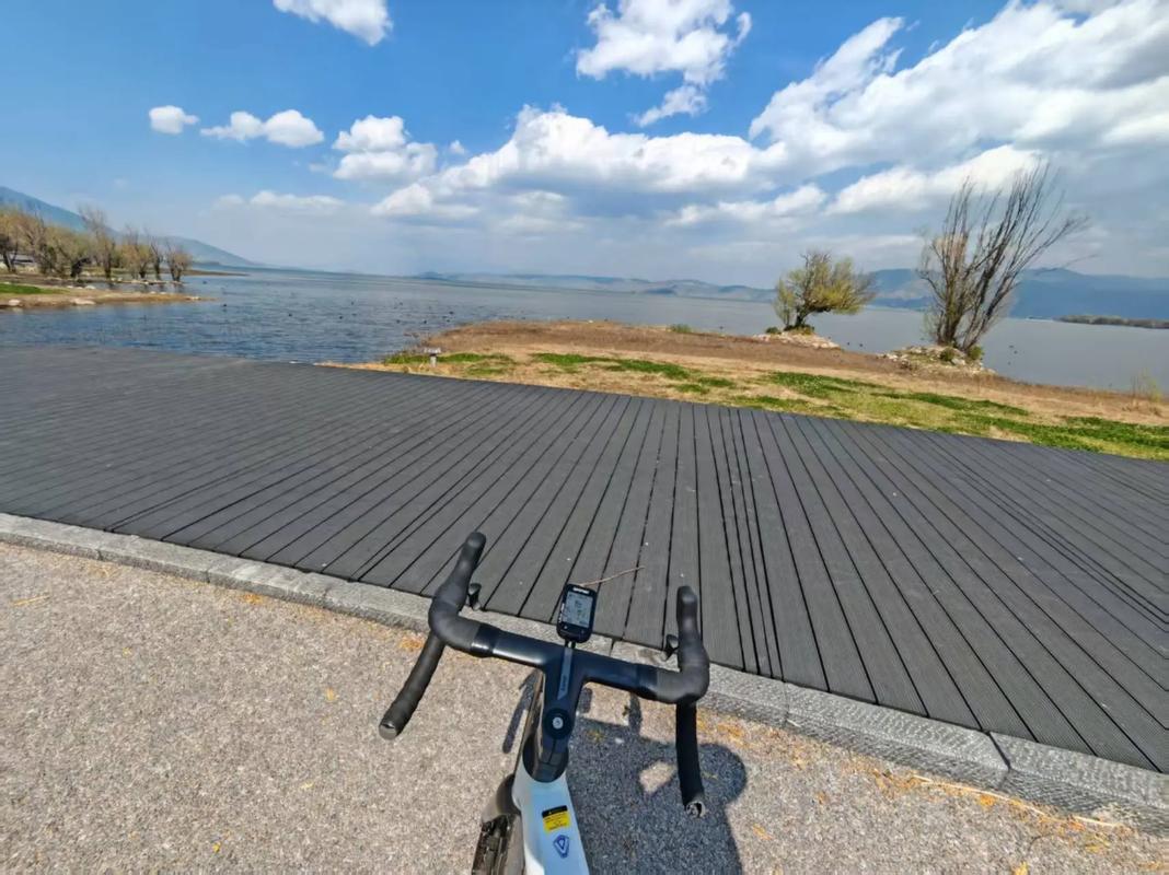 大理有自行车出租吗?大理自行车专卖店地址