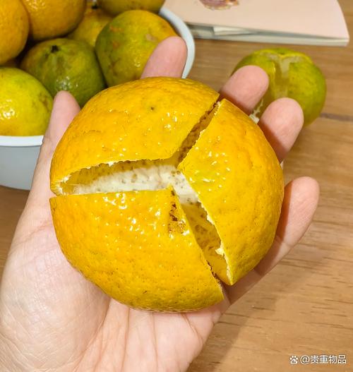 橘子皮可以煮饭吗?橘子皮可以煮饭吗怎么煮