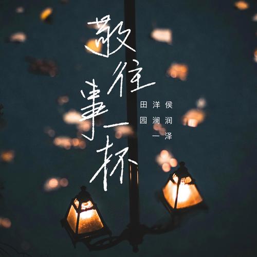 我敬往事三杯酒敬人生?我敬往事三杯酒 第一杯情侣