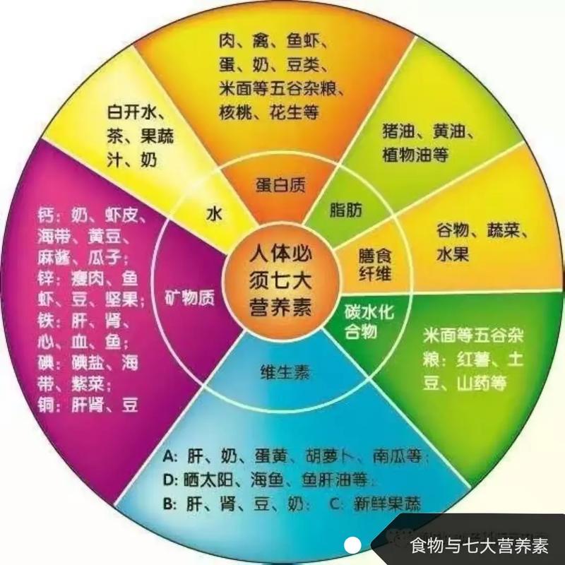 七大营养素的作用?七大营养素的作用及功能图片