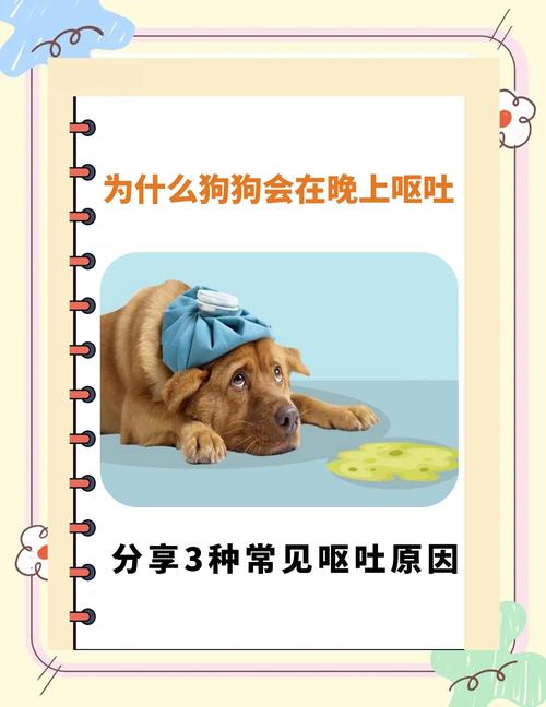 拉布拉多一直咳嗽想呕吐是怎么了?拉布拉多老咳嗽干呕