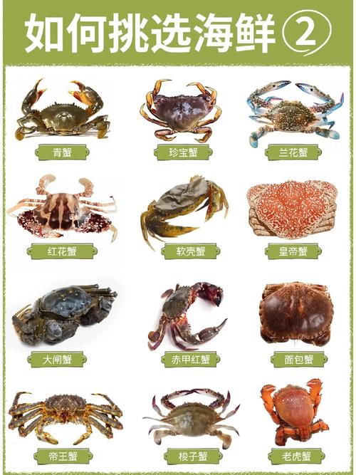 螃蟹的饮食睡觉喜好和性格?螃蟹睡觉吗?