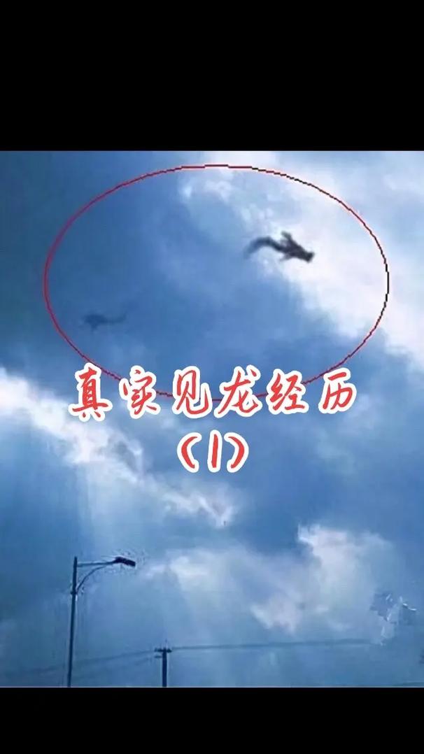 这个世界到底有没有龙?这个世界有没有龙呢