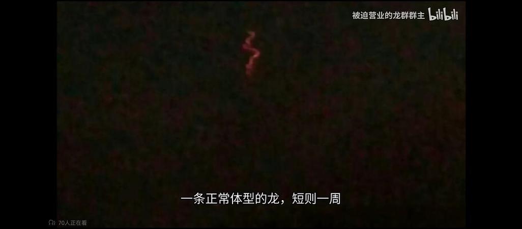 这个世界到底有没有龙?这个世界有没有龙呢