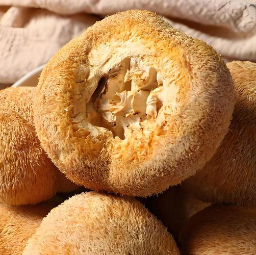 猴头菇可以冷冻保存吗？猴头菇可以冷冻保存吗?