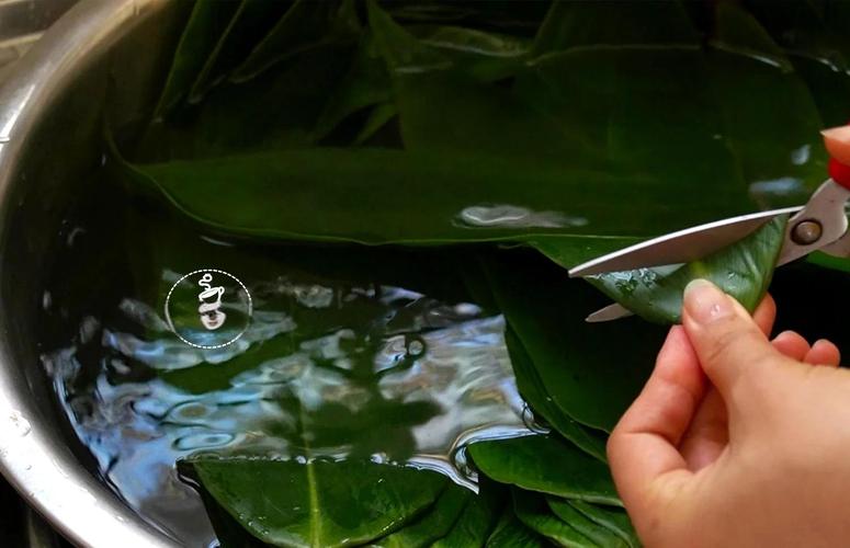 枧水粽子的做法大全？枧水粽的做法及配方