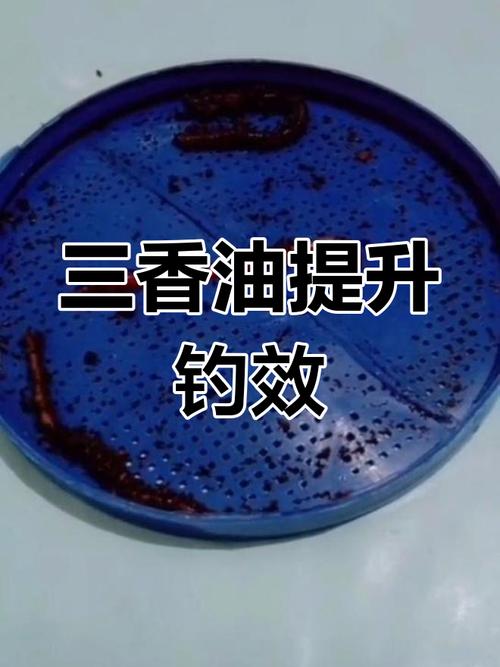 蚯蚓沾香油上鱼吗能吃吗？香油沾蚯蚓钓鲫鱼