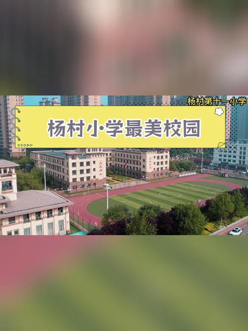 武清区有什么小学？武清好点的小学都在哪个小区