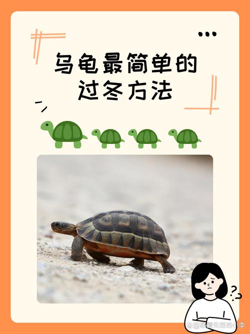 冬天该怎样养乌龟？冬天咋样养乌龟