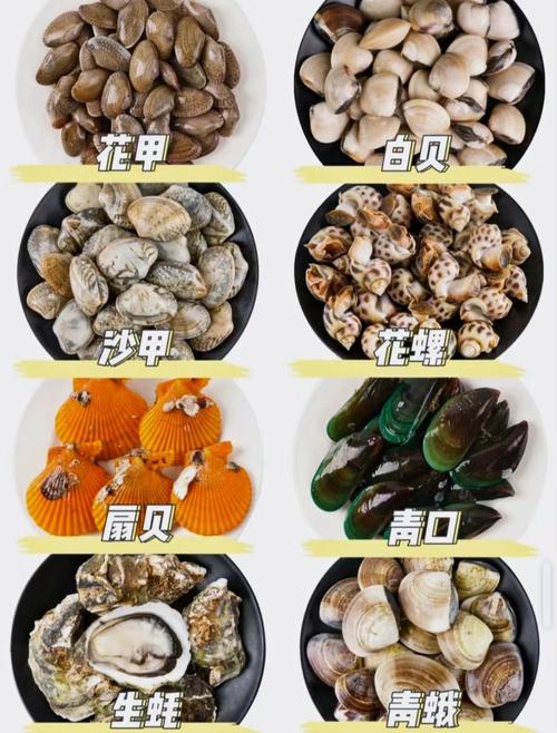 月经期间能吃白贝吗?经期能吃贝类吗?