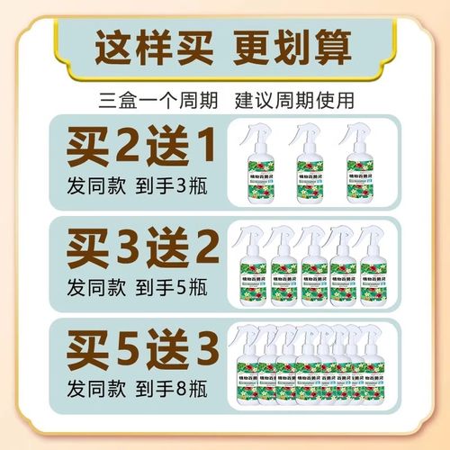 平安树叶子尖干枯是怎么回事？平安树叶子尖干了是什么病?