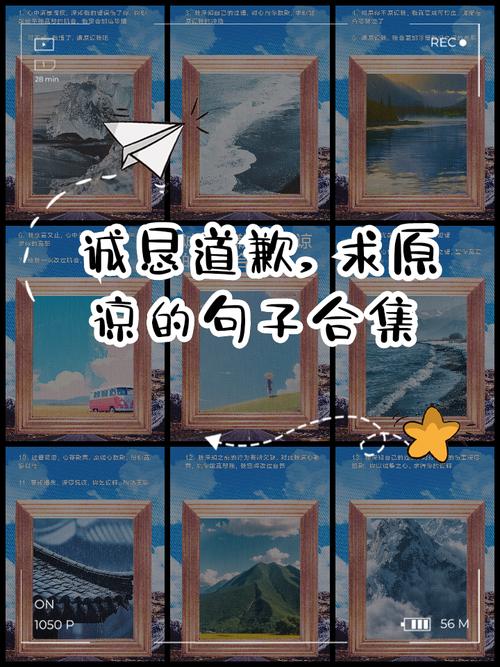 请原谅我的冷漠句子？请原谅我的冷漠句子图片