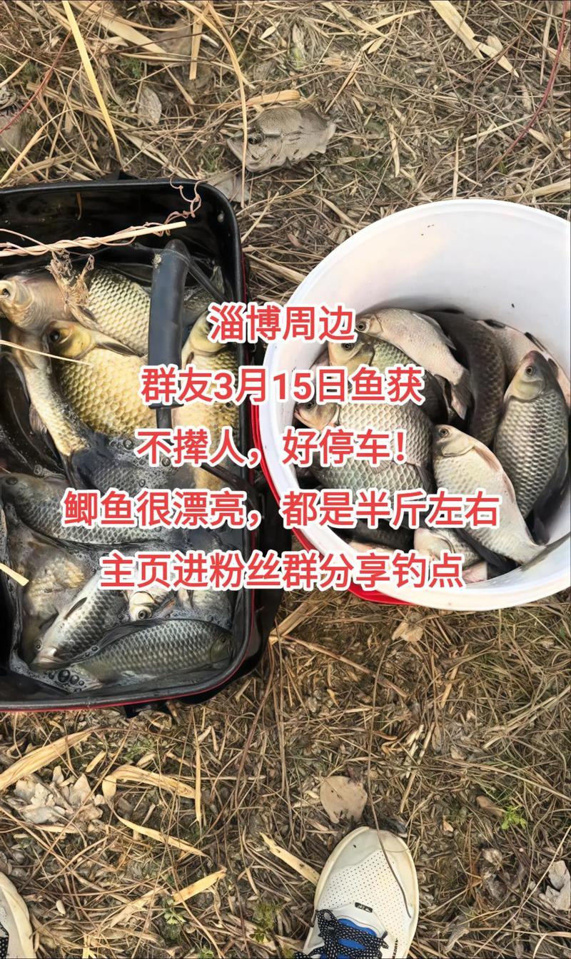 淄博附近钓鱼水库?淄博附近钓鱼水库在哪里