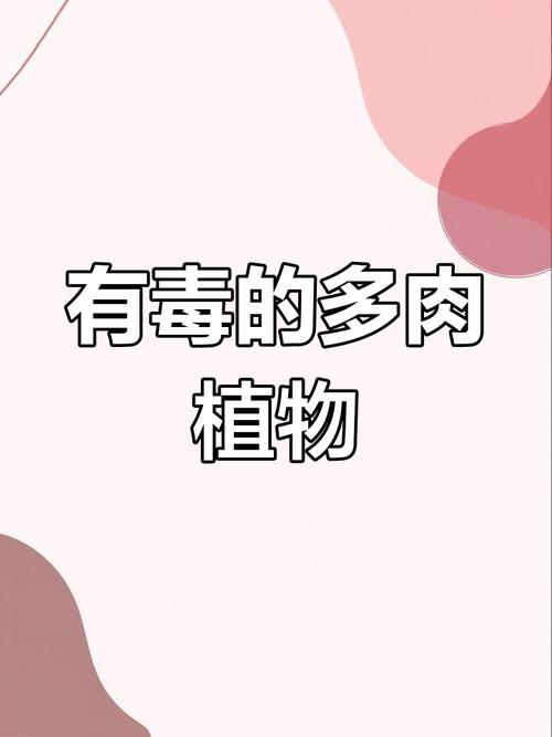 请问多肉植物那些品种有毒?哪些多肉植物有毒?